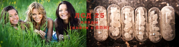 дурь Аркадак